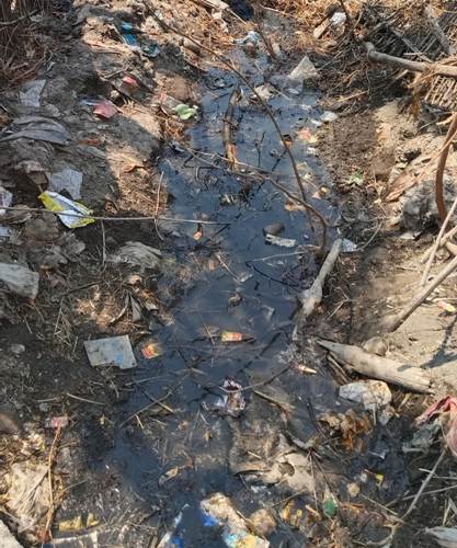 ग्राम पंचायतों में तैनात सफाई कर्मी बेफिक्र, गांवों में लगा कचरे व गंदगी का अंबार