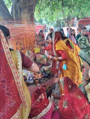 वट सावित्री व्रत का त्योहार श्रद्धा, अटूट विश्वास और पारंपरिक उल्लास के साथ मनाया गया